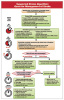 Suspected Stroke Algorithm/Prehospital Stroke Scale Card